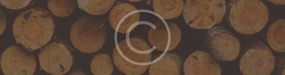 background-03.jpg