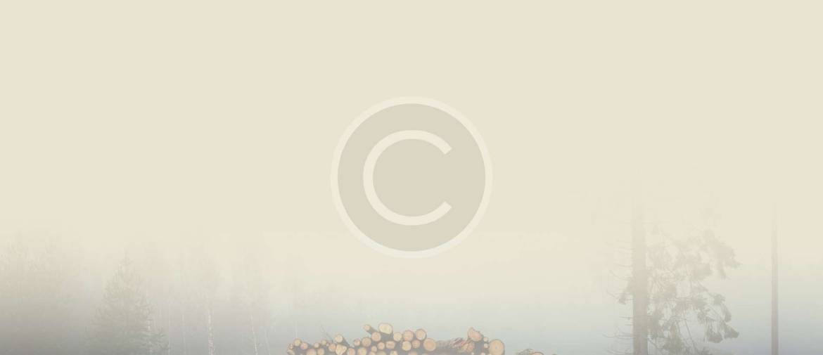 background-04.jpg