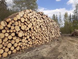 Rönk őrlemény értékesítése