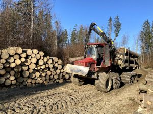 Sale of logs