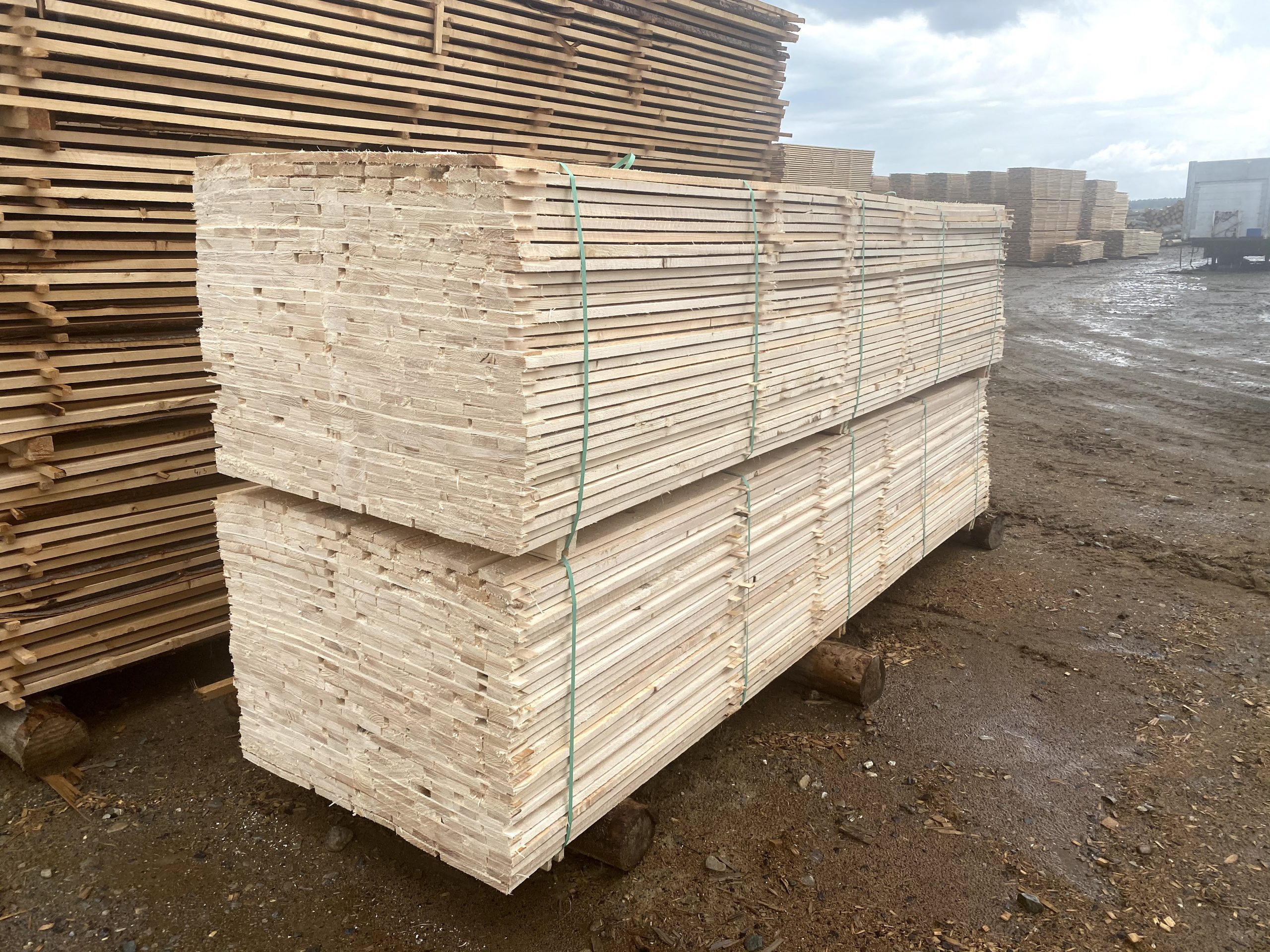 Sale of pine timber