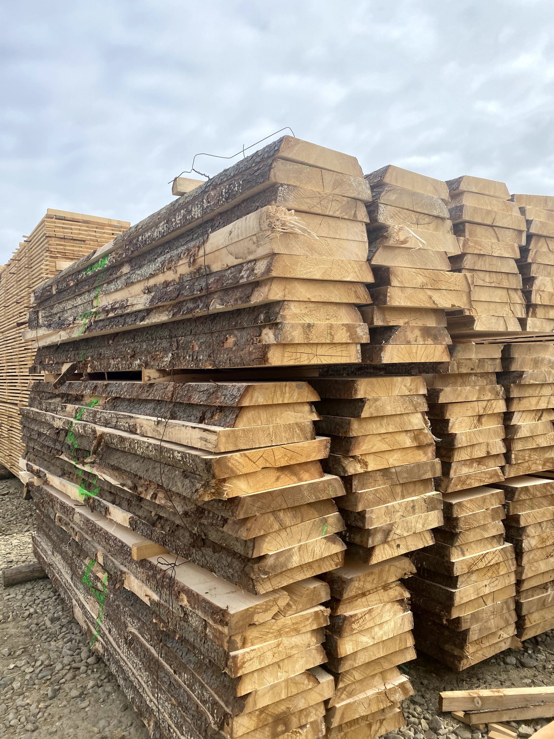 Sale of pine timber