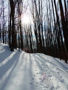 Cumpărăm masă lemnoasă pe picior